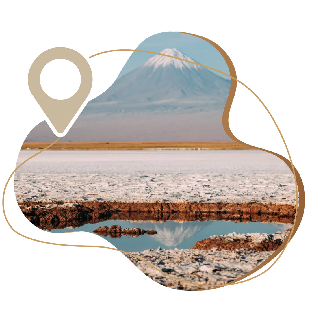 TOUR LAGUNA CEJAR, TEBENQUINCHE Y OJOS DEL SALAR