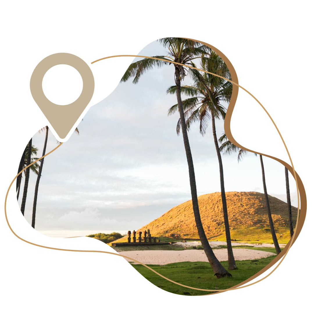 City Tour Santiago + Pre-Columbian Art Museum