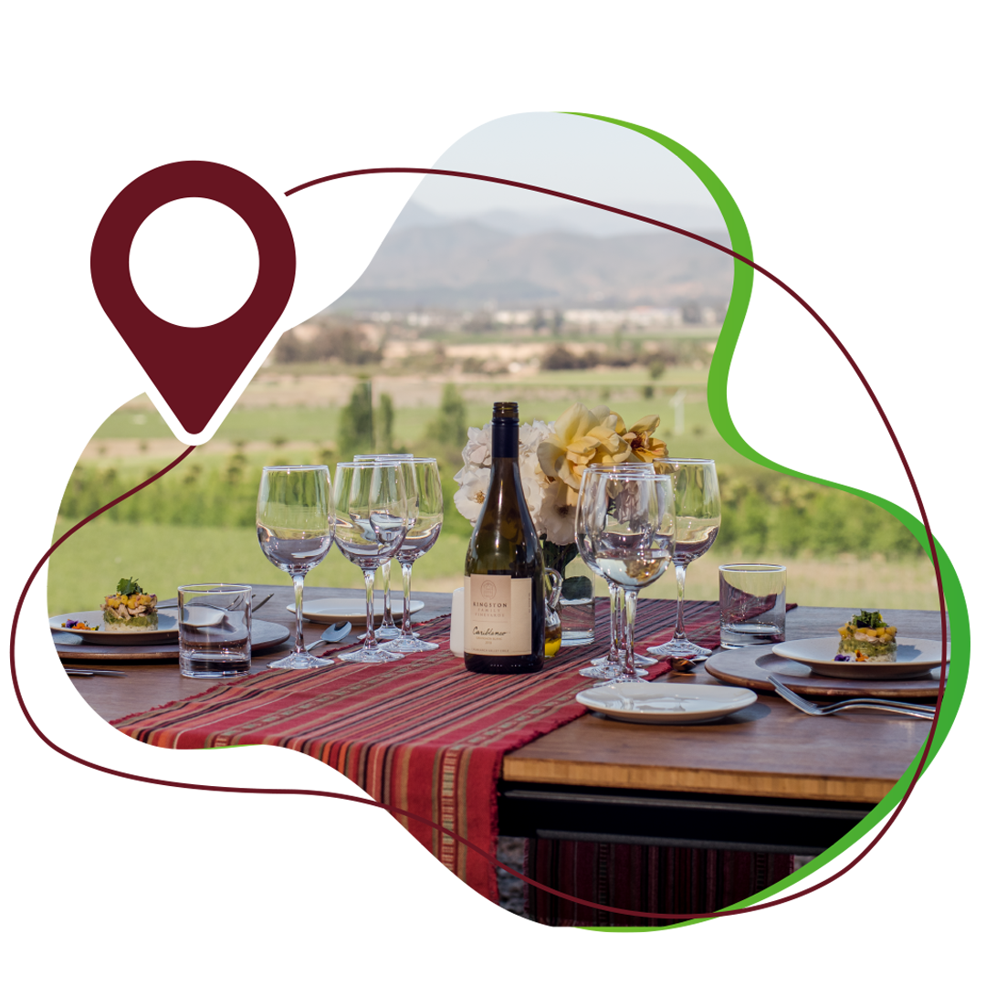 Santa Rita Vineyard Tour