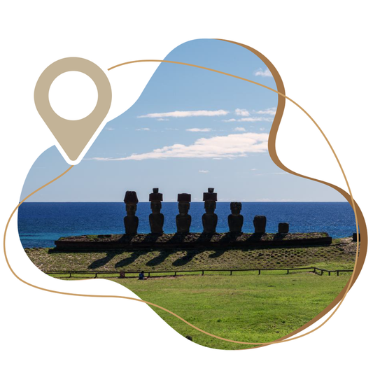 City Tour Santiago + Pre-Columbian Art Museum