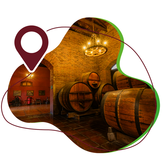 Tour Vinícola Santa Rita