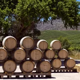 Bodegas RE-01