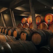 Vaparaiso & Viña del Mar + Bodegas RE