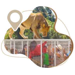 FULL DAY PARQUE SAFARI