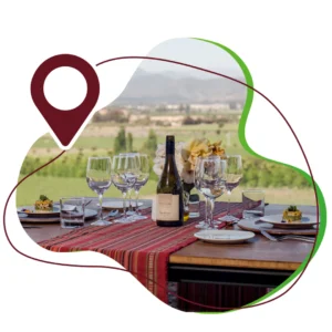 PREMIUM WINE TESTING, VIÑA KINGSTON
