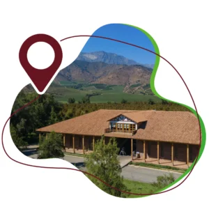 TOUR PRINCIPAL – VIÑA EL PRINCIPAL