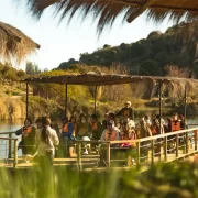 Birdwatching en Tricao