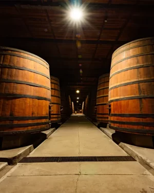 Visita al Viñedo Cousiño Macul