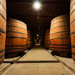 Visita al Viñedo Cousiño Macul