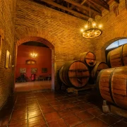 Visita al Viñedo Cousiño Macul