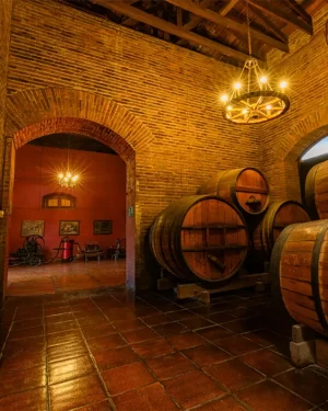 Visita al Viñedo Cousiño Macul