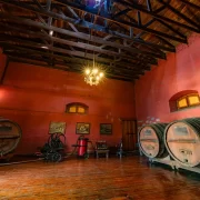 Visita al Viñedo Cousiño Macul