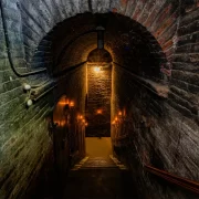 Visita al Viñedo Cousiño Macul