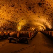 Visita al Viñedo Cousiño Macul
