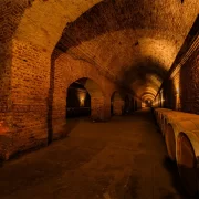 Visita al Viñedo Cousiño Macul