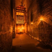 Visita al Viñedo Cousiño Macul
