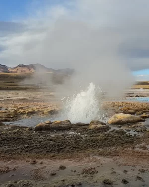 Excursión Geyser del Tatio y Machuca