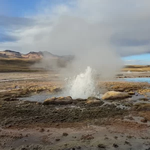 Excursión Geyser del Tatio y Machuca