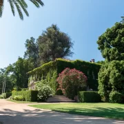 Visita al Viñedo Santa Rita