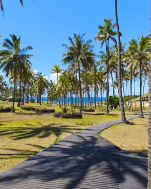 Tour Día Completo Anakena – Historia y Belleza en Rapa Nui