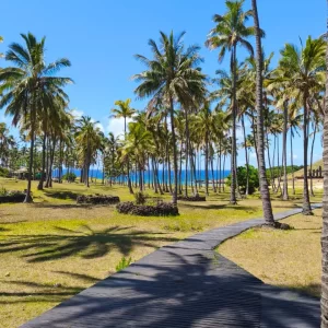 Tour Día Completo Anakena – Historia y Belleza en Rapa Nui