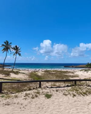 Tour Día Completo Anakena – Historia y Belleza en Rapa Nui