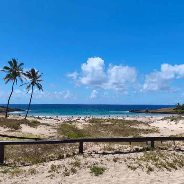 Anakena Tour – History and Beauty in Rapa Nui
