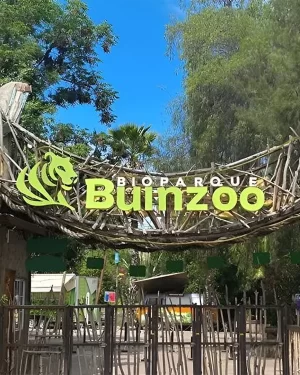 Buin Zoo – Full Day