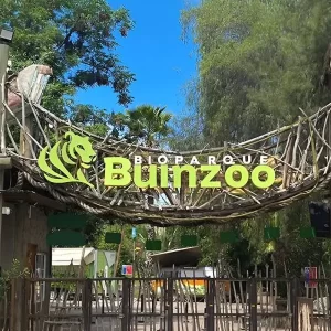 Buin Zoo – Full Day