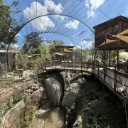 Buin Zoo – Full Day