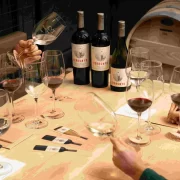 Visita al Viñedo Concha & Toro
