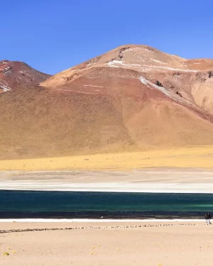 Excursión Salar de Atacama, Toconao y Lagunas Altiplánicas