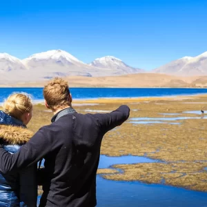 Excursión Salar de Atacama, Toconao y Lagunas Altiplánicas