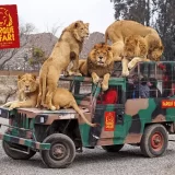 parque-safari-2