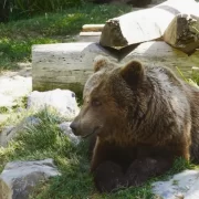Parque Safari – Full Day