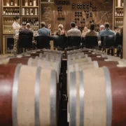 Viñedos del Valle de Casablanca (Bodegas RE + Casas del Bosque)