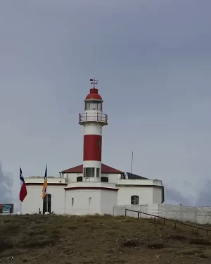 Navegación Isla Magdalena y Marta – Encuentro con Pingüinos y Lobos Marinos