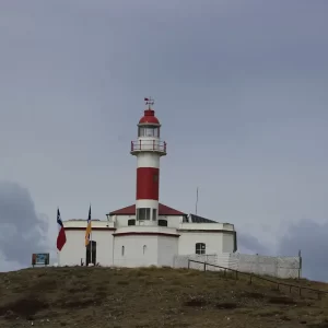 Navegación Isla Magdalena y Marta – Encuentro con Pingüinos y Lobos Marinos