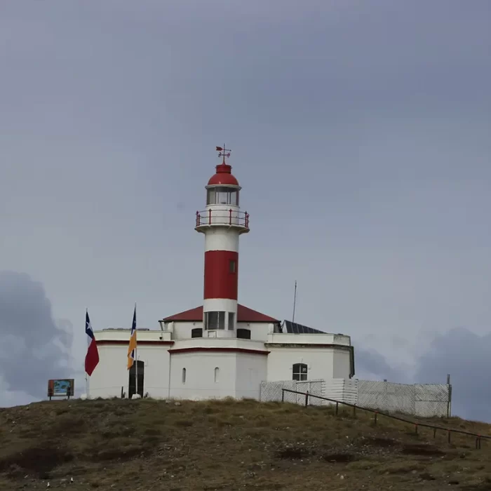 Navegación Isla Magdalena y Marta – Encuentro con Pingüinos y Lobos Marinos