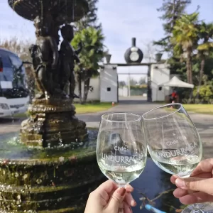 Visita al Viñedo Undurraga (Tour Sibaris)