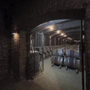 Visita al Viñedo Undurraga (Tour Sibaris)