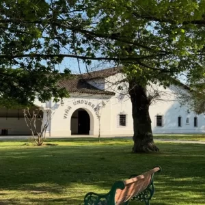 Visita al Viñedo Undurraga (Tour Sibaris)