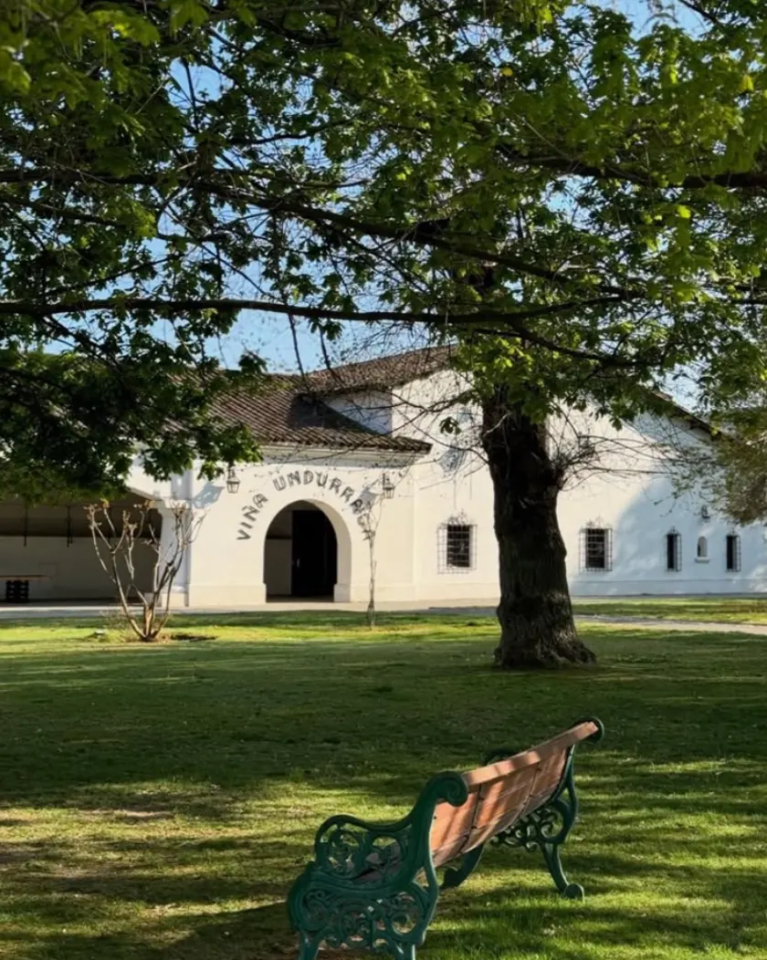 Visit to the Undurraga Vineyard (Sibaris Tour)